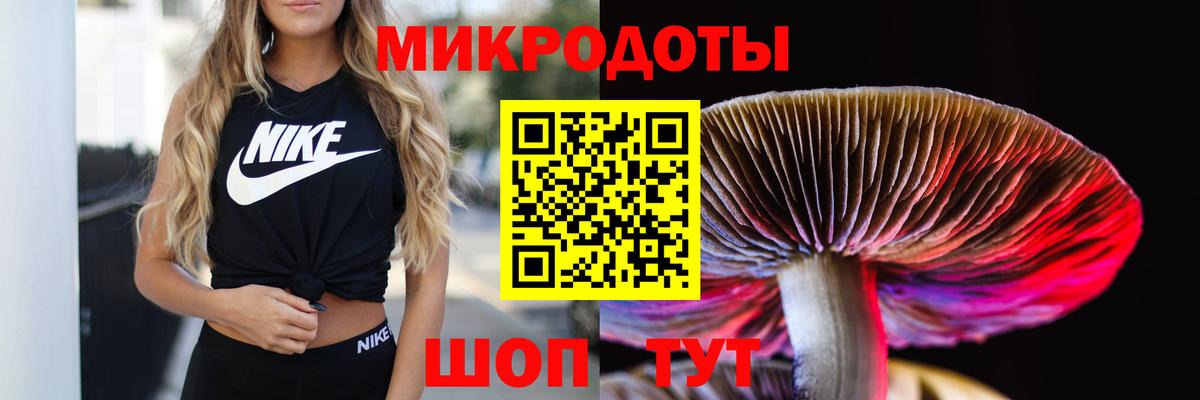 Галлюциногенные грибы Psilocybine cubensis Чистополь